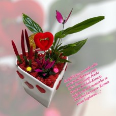Kalpli beyaz porselen saksıda Antoryum- Renkli paşa kılıcı- Skulent Aranjmanı
