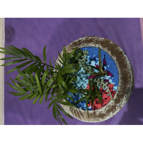 Kişiye Özel Sukulent Bahçesi -Teraryum Kişiye Özel Sukulent Bahçesi -Teraryum