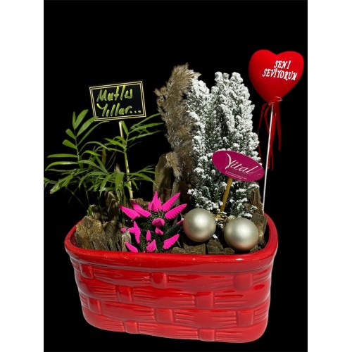 Kırmızı porselen saksıda aranjman